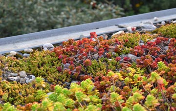 the cost of Elmstead green roof installation