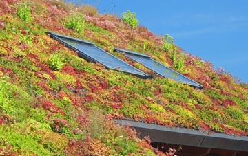 Elmstead living roof systems