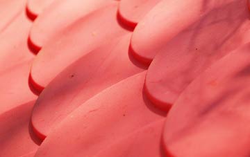 Elmstead plastic roof costs