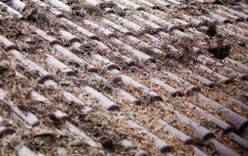 Elmstead roof cleaning companies